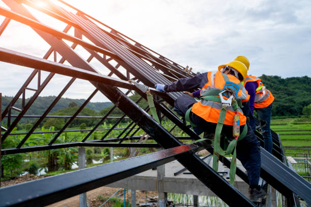 Best Roof Gutter Cleaning  in Hasbrouck Heights, NJ