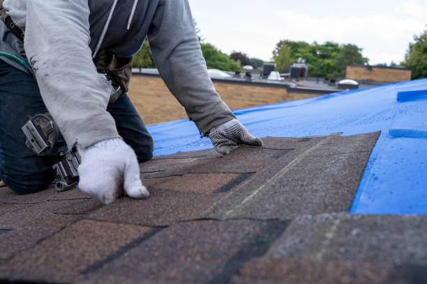 Best Roof Leak Repair  in Hasbrouck Heights, NJ