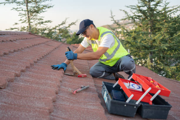 Best Sealant for Roof  in Hasbrouck Heights, NJ